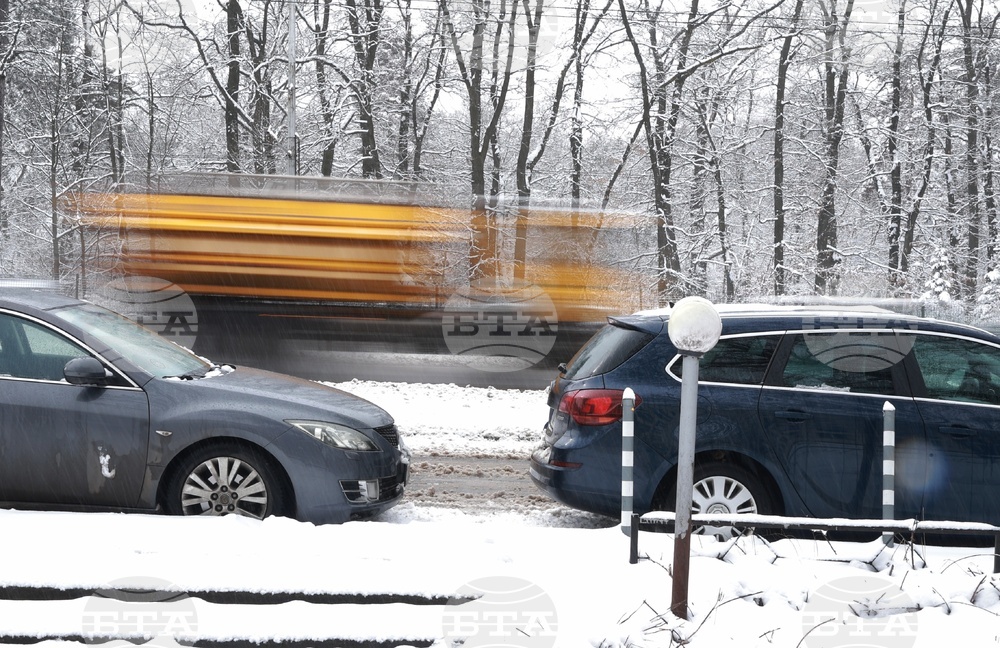 Столица - ежедневие - сняг