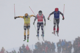 Milan Cortina Olympics Freestyle Skiing