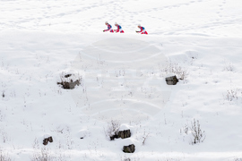 Milan Cortina Olympics Cross Country