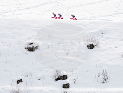 Milan Cortina Olympics Cross Country