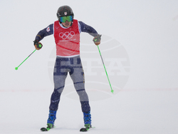 Milan Cortina Olympics Freestyle Skiing