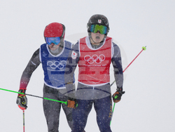 Milan Cortina Olympics Freestyle Skiing