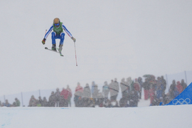 Milan Cortina Olympics Freestyle Skiing
