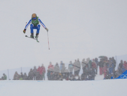 Milan Cortina Olympics Freestyle Skiing