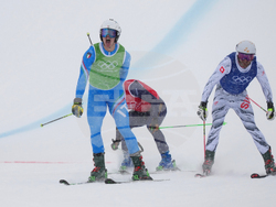 Milan Cortina Olympics Freestyle Skiing