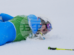 Milan Cortina Olympics Freestyle Skiing