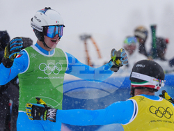 Milan Cortina Olympics Freestyle Skiing