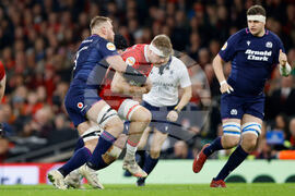 Wales Scotland Six Nations Rugby