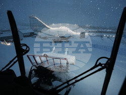 Milan Cortina Olympics Freestyle Skiing