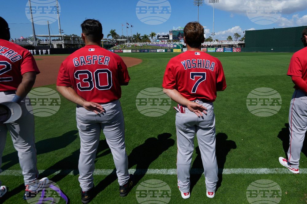 Red Sox Twins Spring Baseball