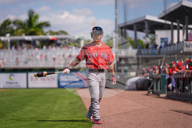 Red Sox Twins Spring Baseball