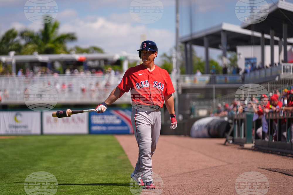 Red Sox Twins Spring Baseball