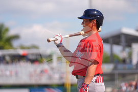 Red Sox Twins Spring Baseball