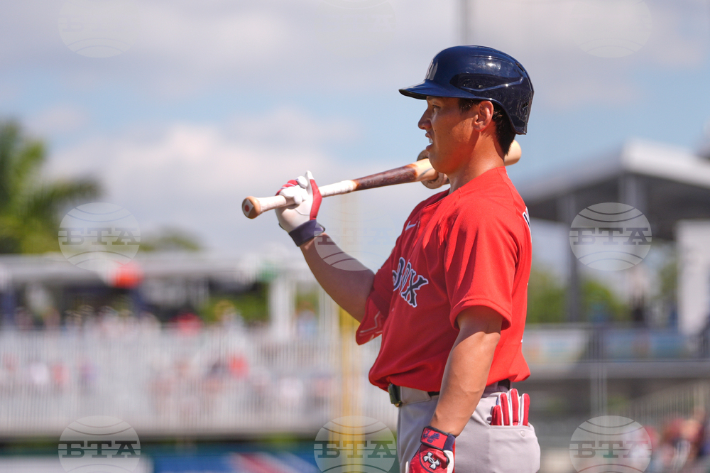 Red Sox Twins Spring Baseball