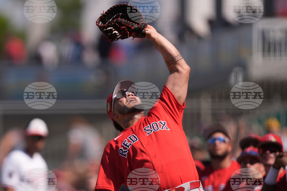 Red Sox Twins Spring Baseball