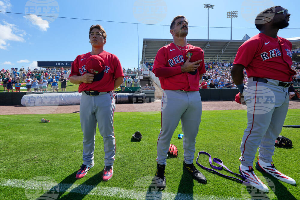 Red Sox Twins Spring Baseball