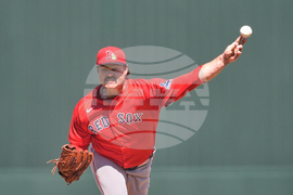 Red Sox Twins Spring Baseball