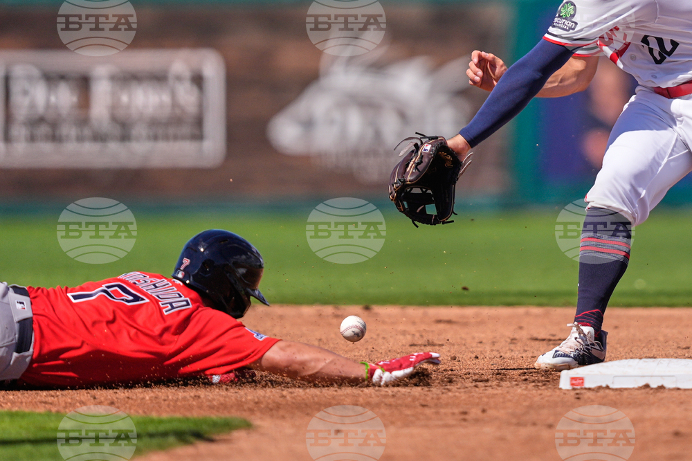 Red Sox Twins Spring Baseball