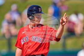Red Sox Twins Spring Baseball