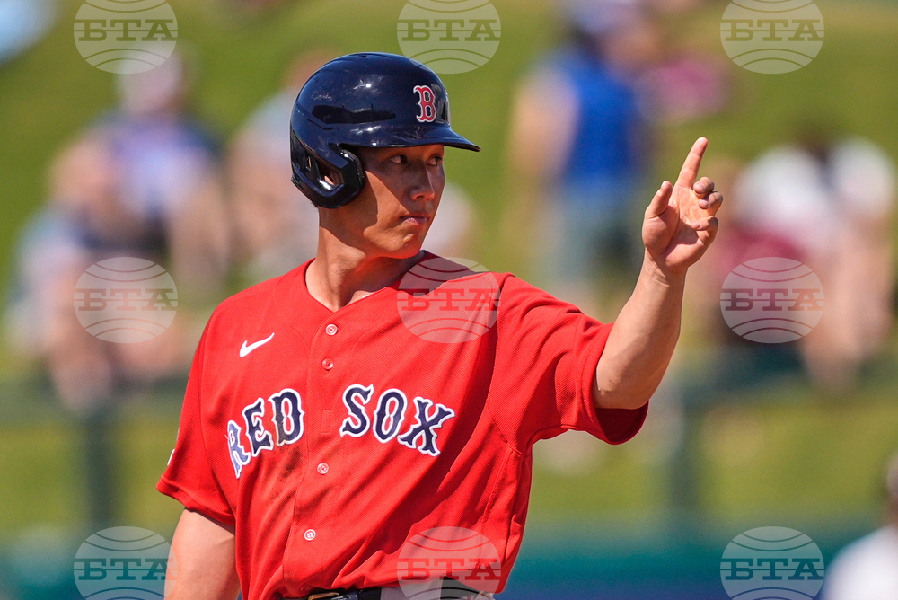 Red Sox Twins Spring Baseball