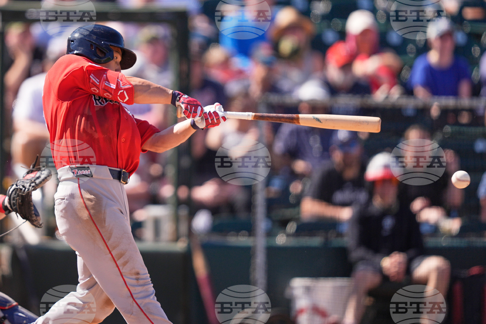 Red Sox Twins Spring Baseball