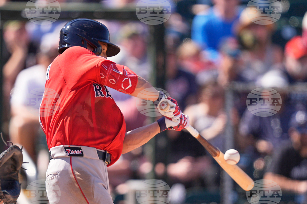Red Sox Twins Spring Baseball