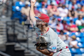 Phillies Blue Jays Baseball