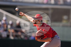 Red Sox Twins Spring Baseball