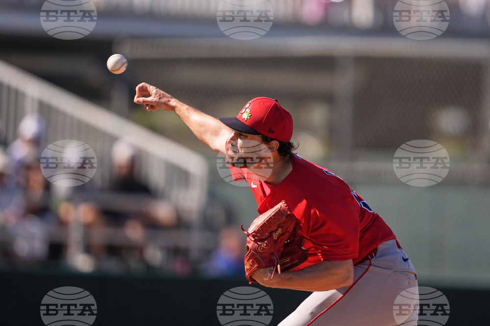 Red Sox Twins Spring Baseball