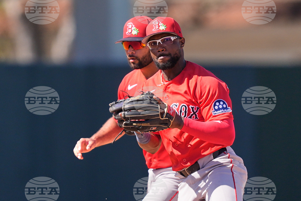 Red Sox Twins Spring Baseball