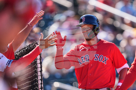 Red Sox Twins Spring Baseball