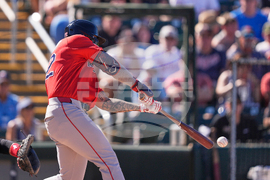 Red Sox Twins Spring Baseball