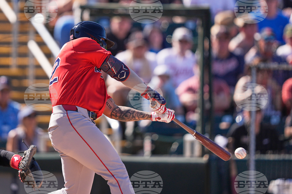 Red Sox Twins Spring Baseball