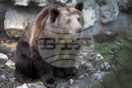 Вярвания и ритуали за Благовещение