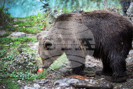 Вярвания и ритуали за Благовещение