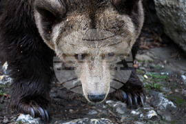 Вярвания и ритуали за Благовещение