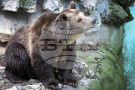 Вярвания и ритуали за Благовещение