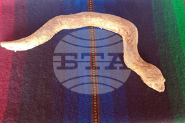 Вярвания и ритуали за Благовещение