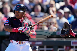 Reds Guardians Spring Baseball