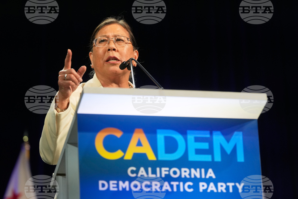California Democratic Convention