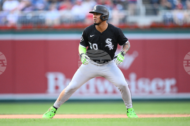 White Sox Sosa Baseball