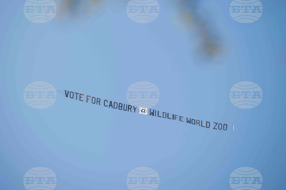 Wildlife World Zoo-goers Encouraged to Choose "Cadbury" Name for Baby Pygmy Hippo