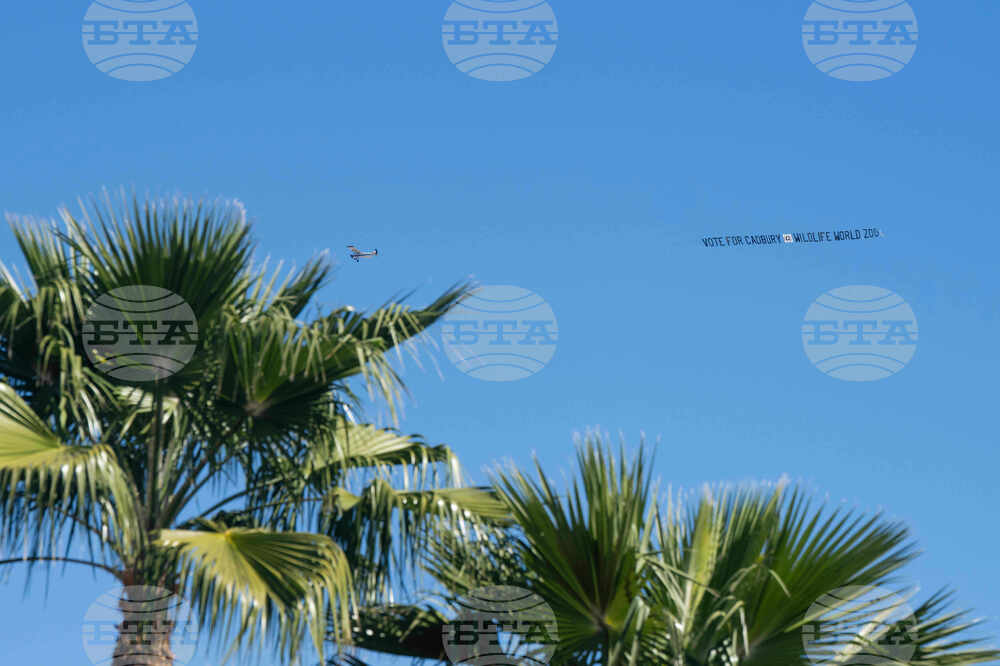 Wildlife World Zoo-goers Encouraged to Choose "Cadbury" Name for Baby Pygmy Hippo