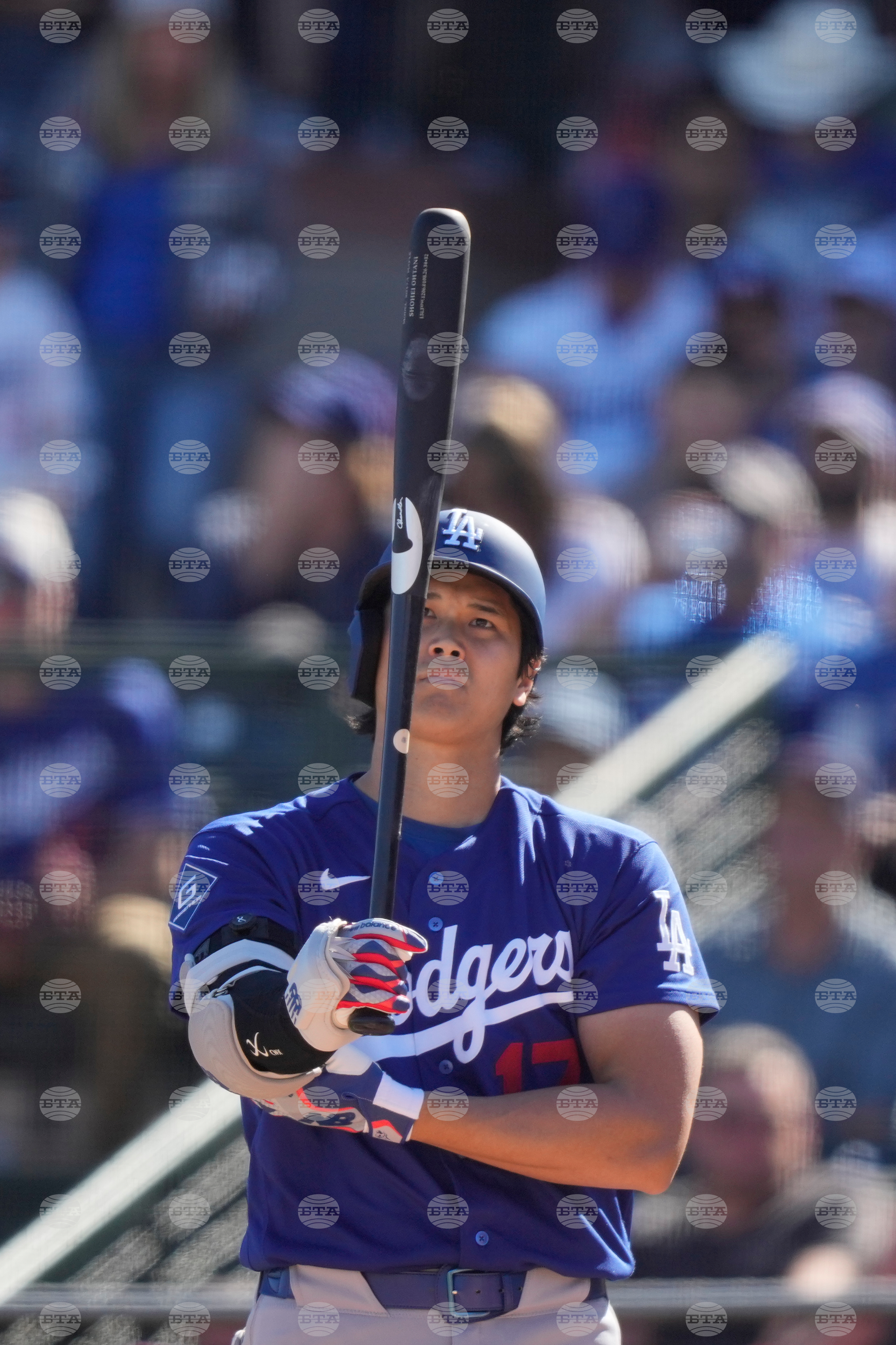 Dodgers Angles Spring Baseball