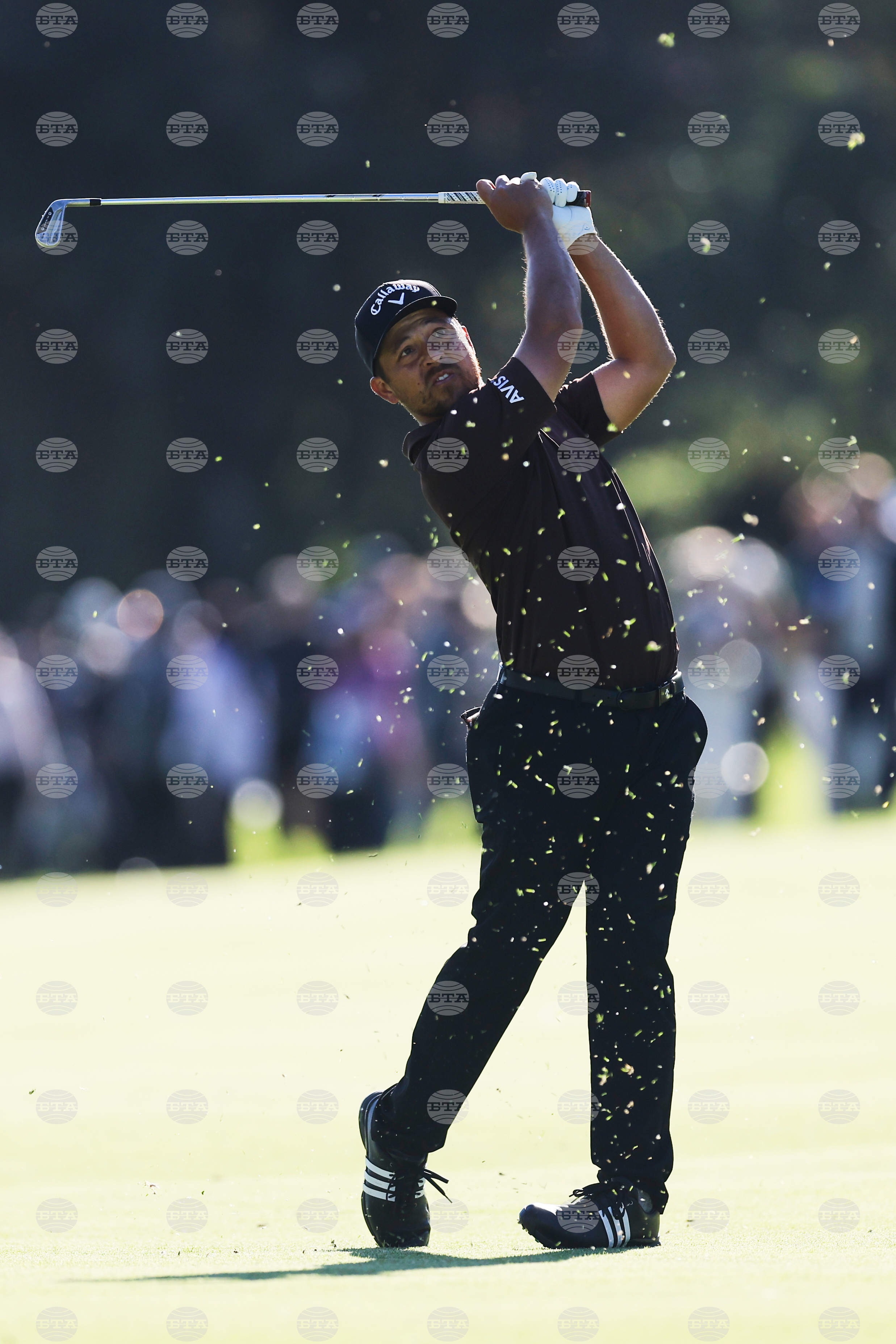 Genesis Invitational Golf