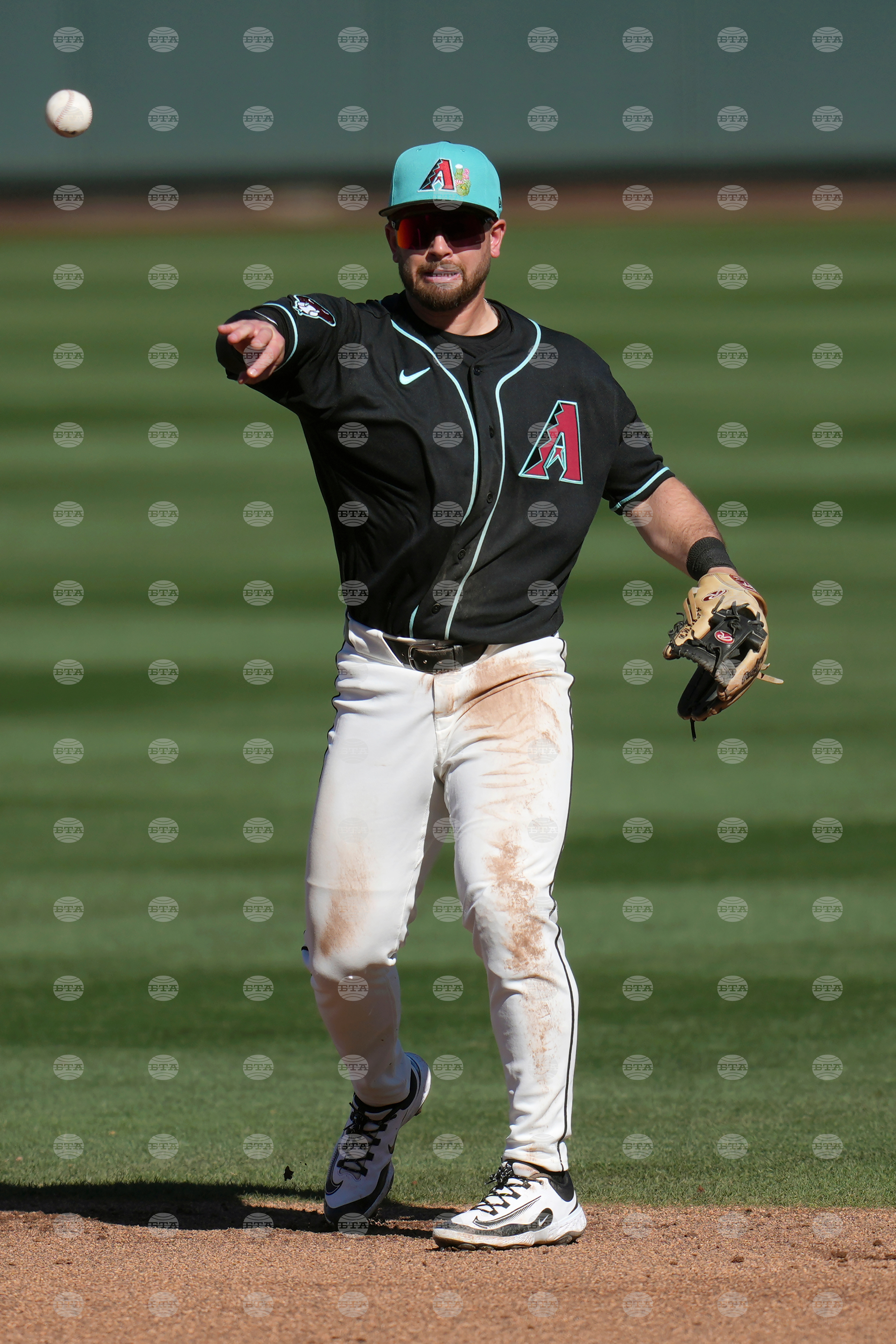 Rockies Diamondbacks Spring Baseball