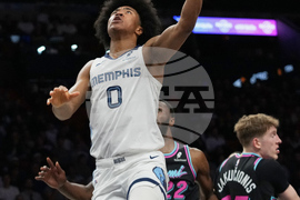 Grizzlies Heat Basketball