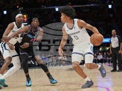 Grizzlies Heat Basketball