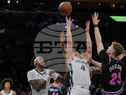 Grizzlies Heat Basketball