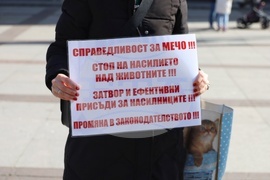 Бургас - национален протест срещу насилието на животни